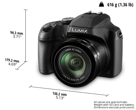 Panasonic Lumix DC-FZ80 Digital Camera