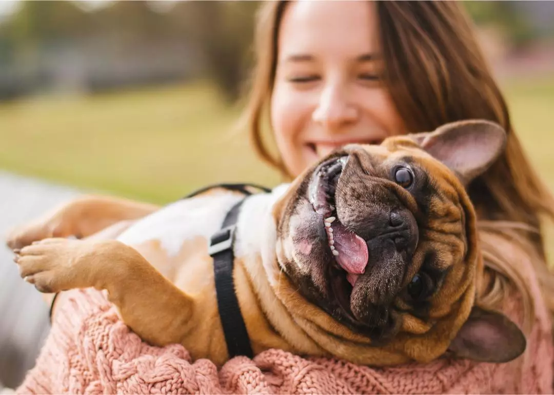 5 Cost-saving Ways To Keep Your Pets Healthy and Happy