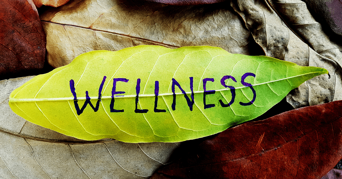 10 Wellness Tips for Travelers in 2026