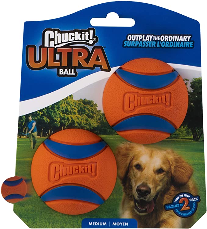 Dog toy