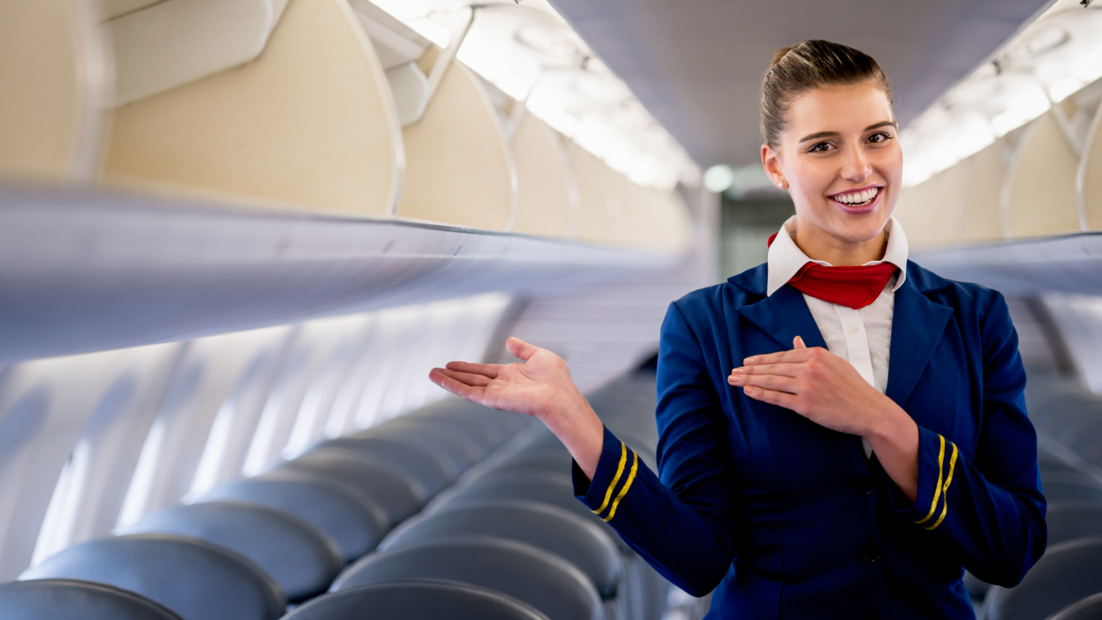Get Paid To Travel