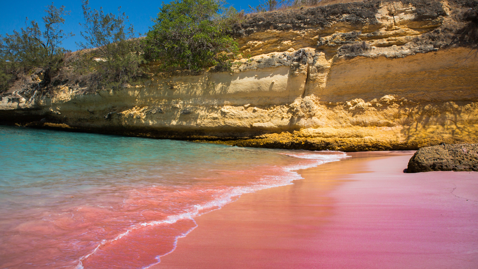 Pretty in Pink: 14 Beautiful Pink Sand Beaches to Visit In 2026