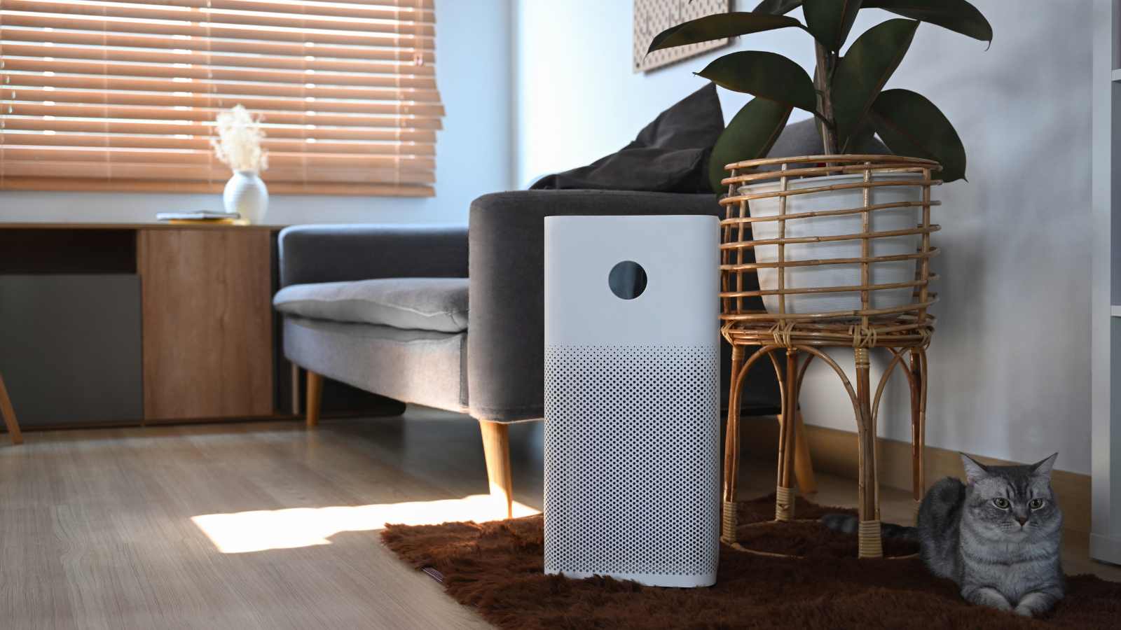 Air Purifier