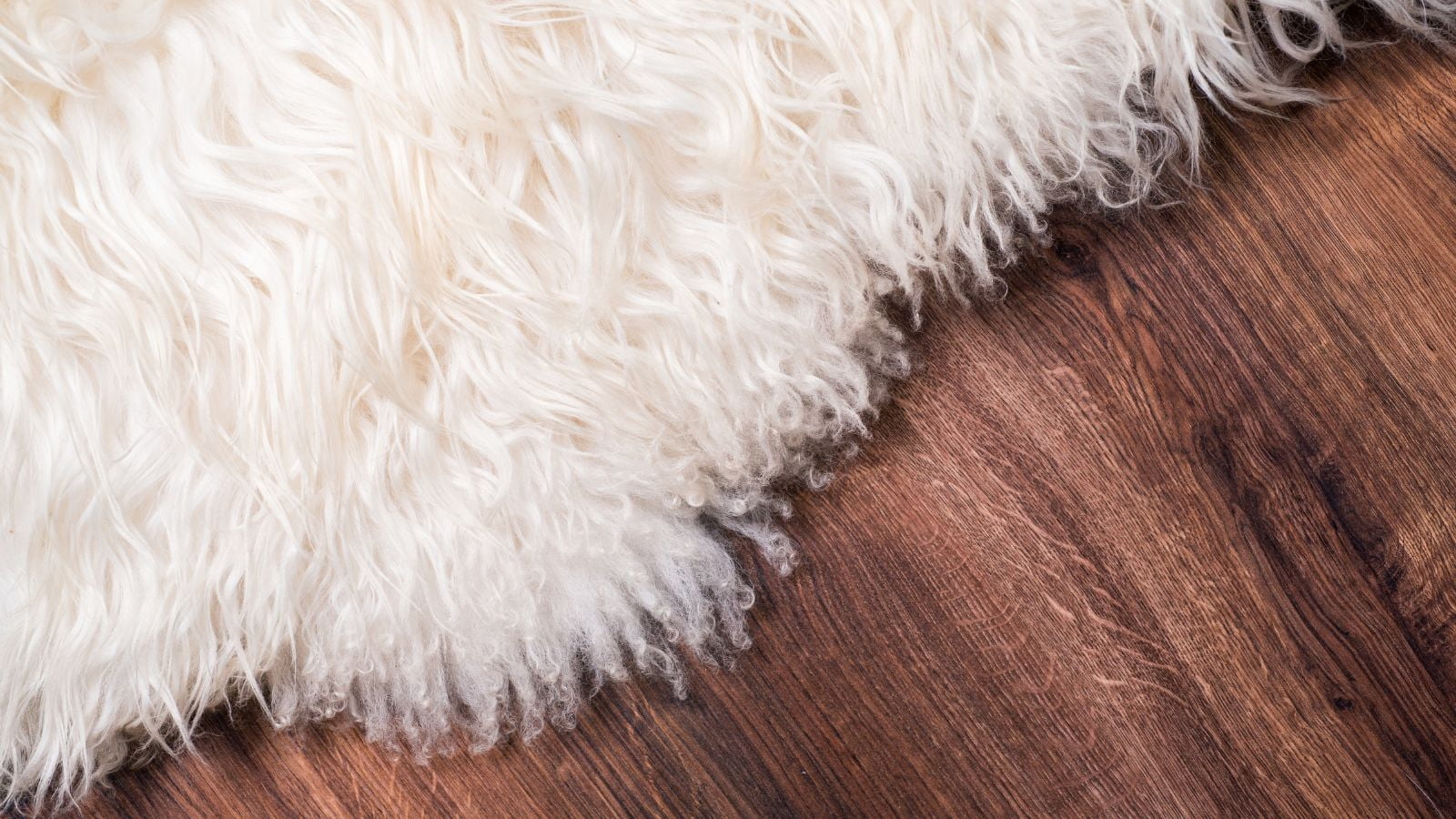 Rediscover the Past: 15 Surprising Things That Decorated Every 70s Home, But Are Now Extinct