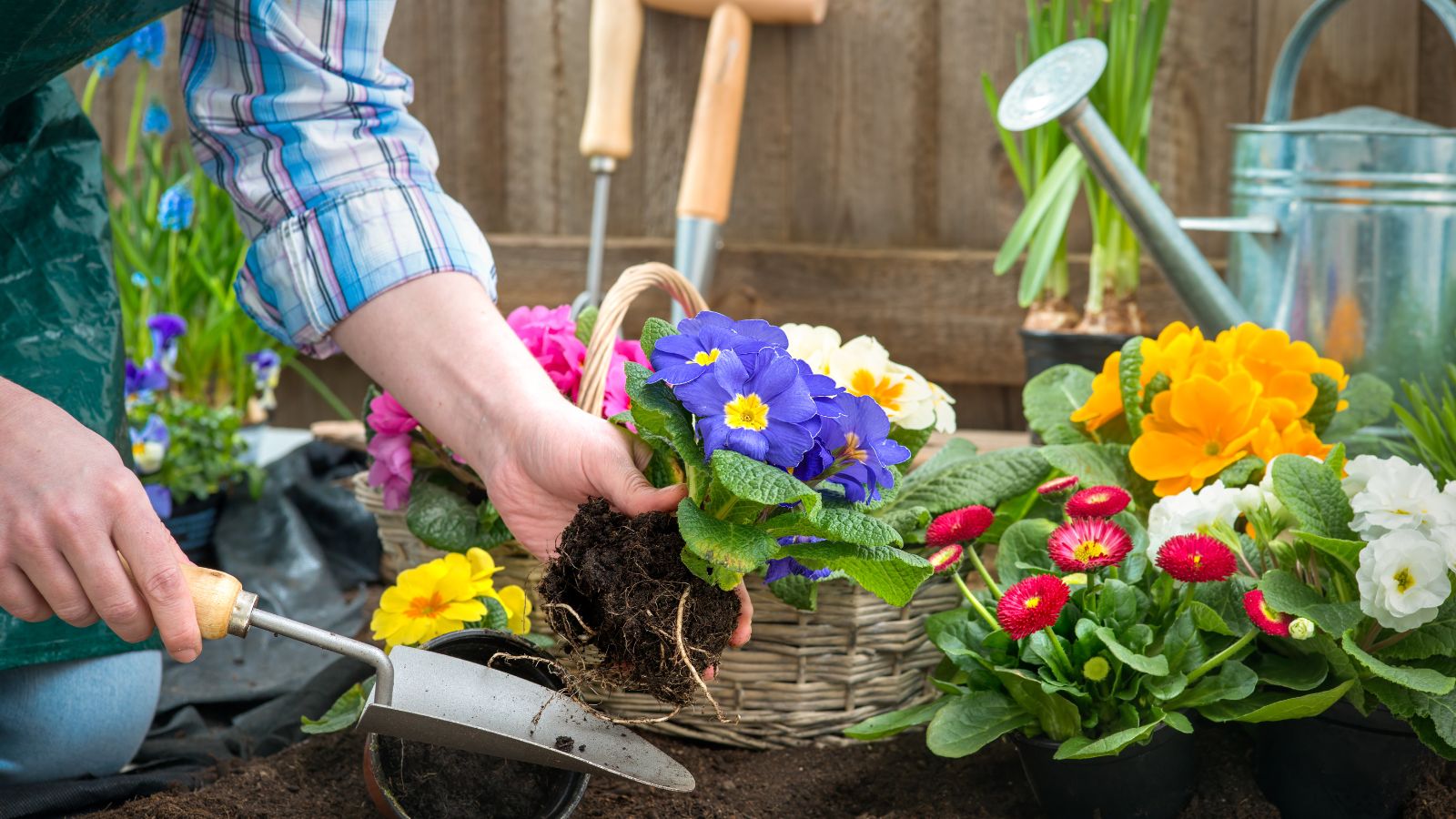 Transform Your Boredom into Adventure with These 20 Budget-Friendly Hobbies