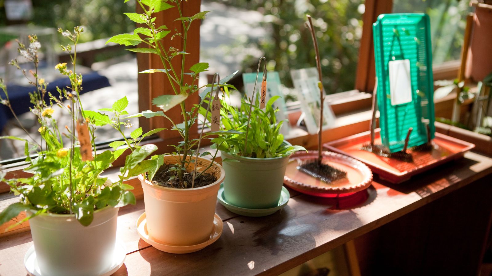 Transform Your Boredom into Adventure with These 20 Budget-Friendly Hobbies