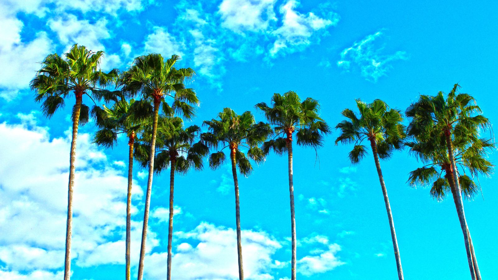 Discover the Ultimate Beachfront Dream: Top 10 Places to Buy Your Perfect Waterside Home in America!