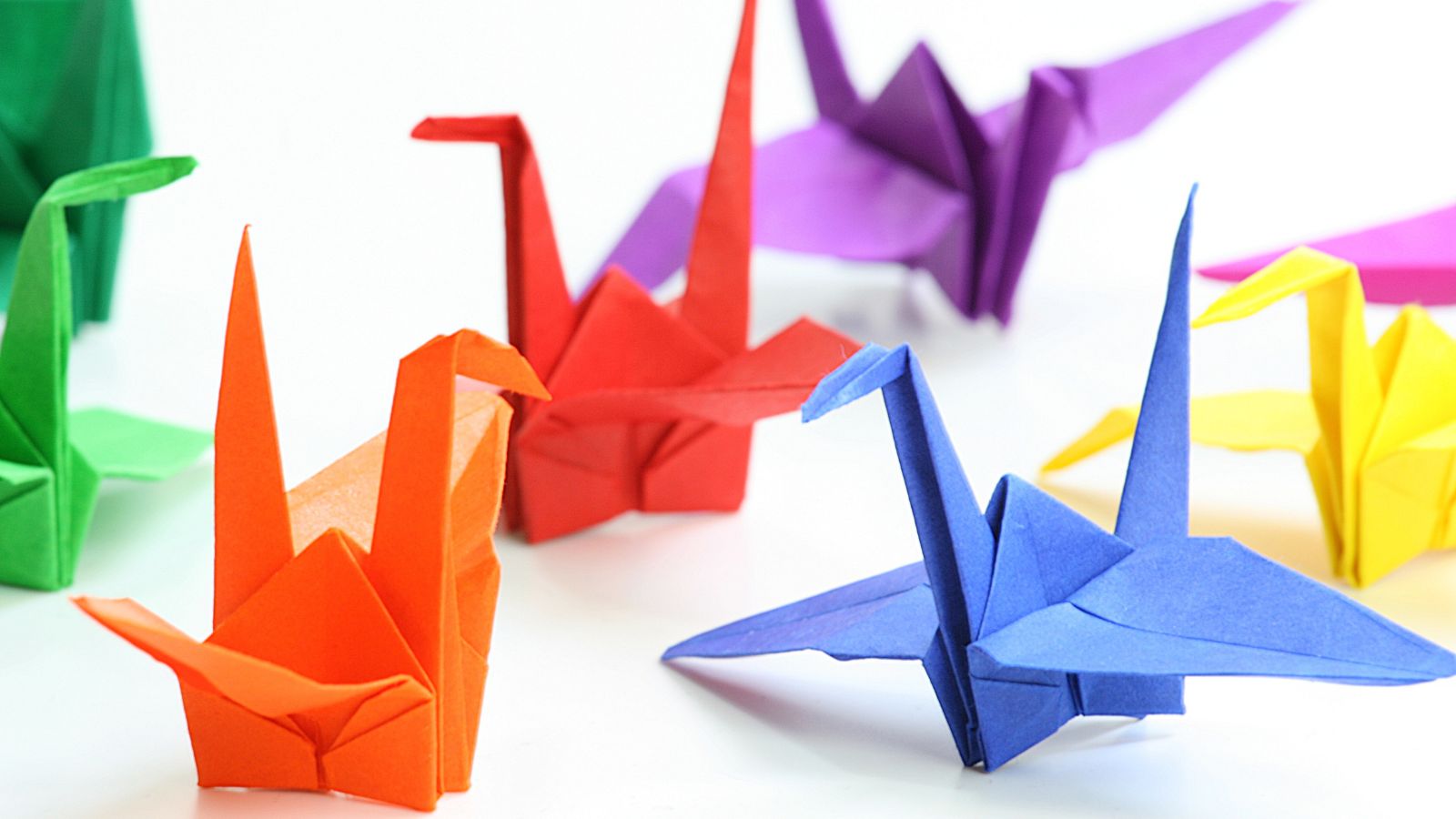 Transform Your Boredom into Adventure with These 20 Budget-Friendly Hobbies