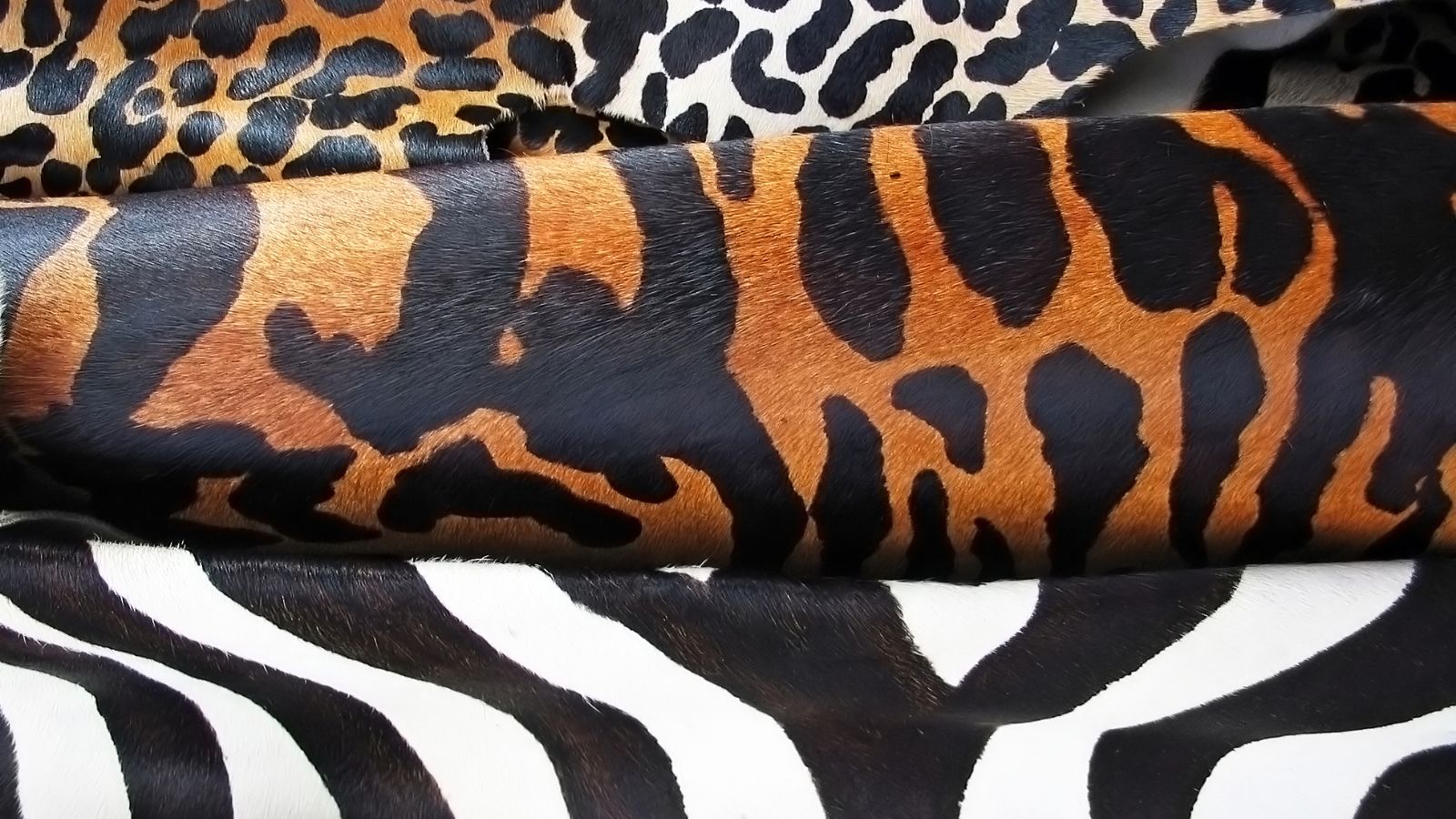 15 Outdated Trends That Interior Designers Beg You to Ditch Now!