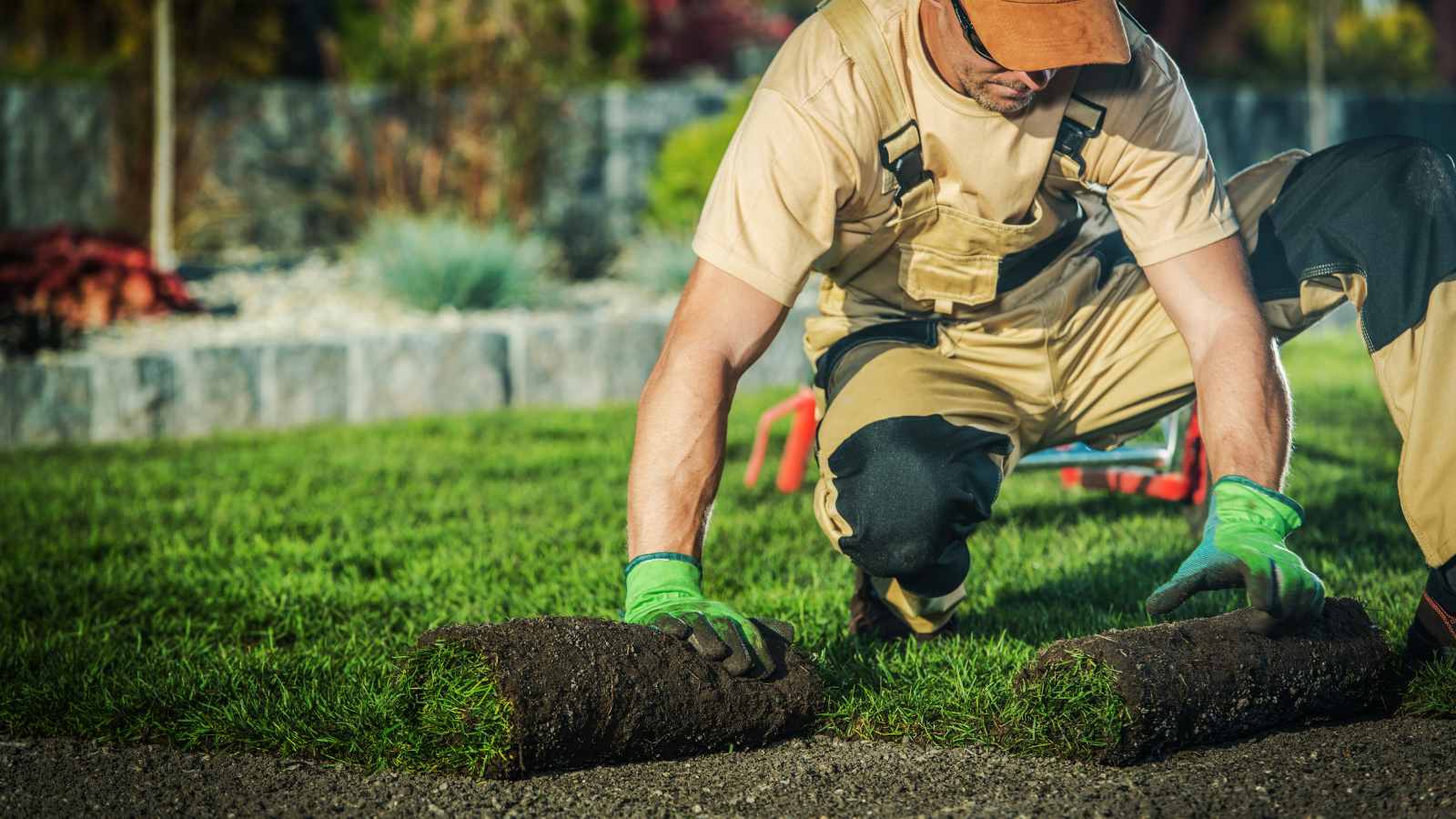 Xeriscaping