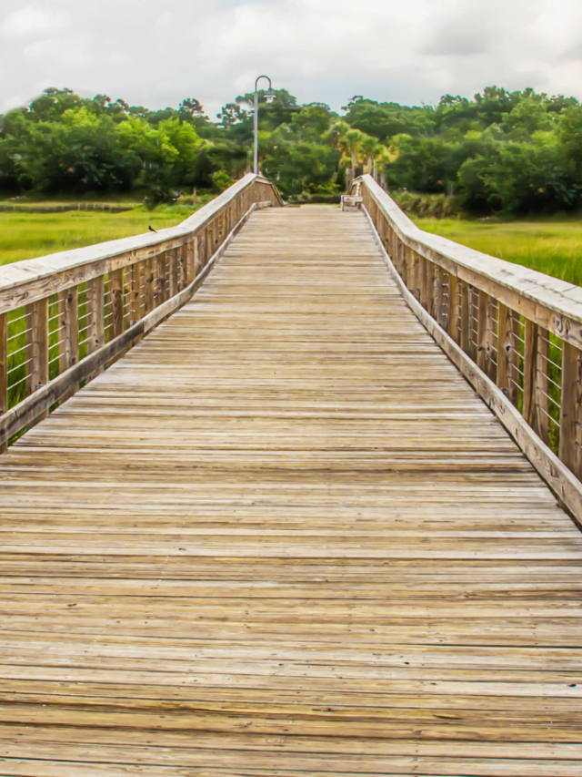 Visit Shem Creek and Explore These 5 Unique Places While on Vacation