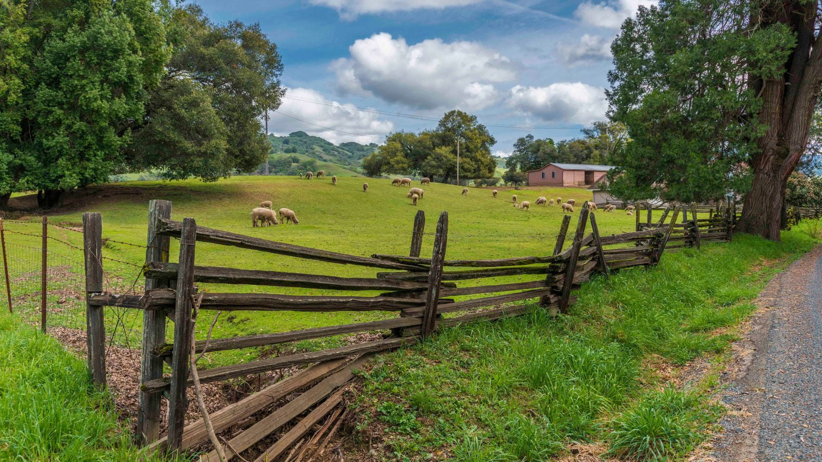 Boonville CA