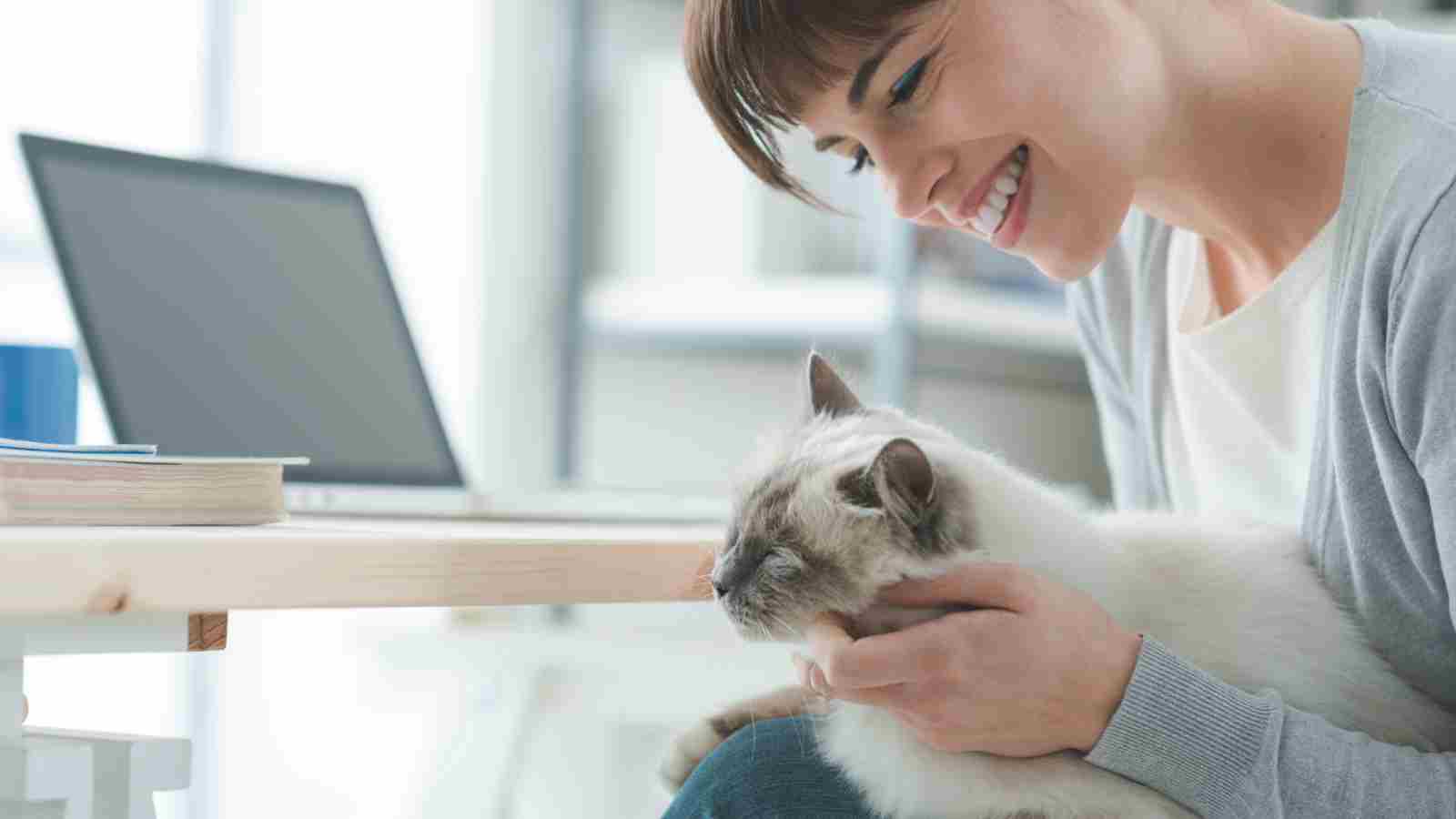 Do Cats Forget Their Owners After a Long Time?