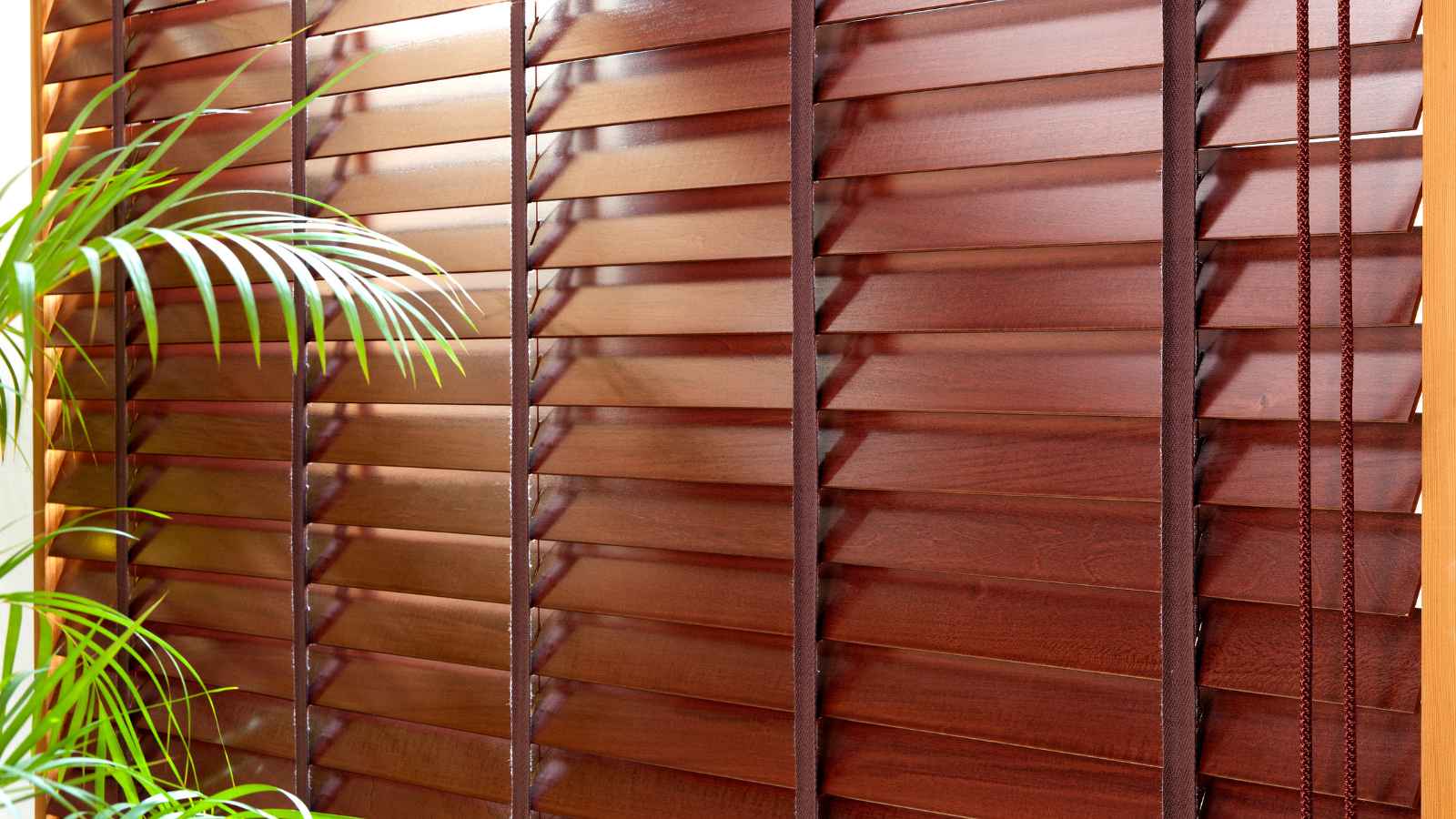 Burglars Spill the Secrets: 20 Ways You're Making Your Home an Easy Target for Robbery