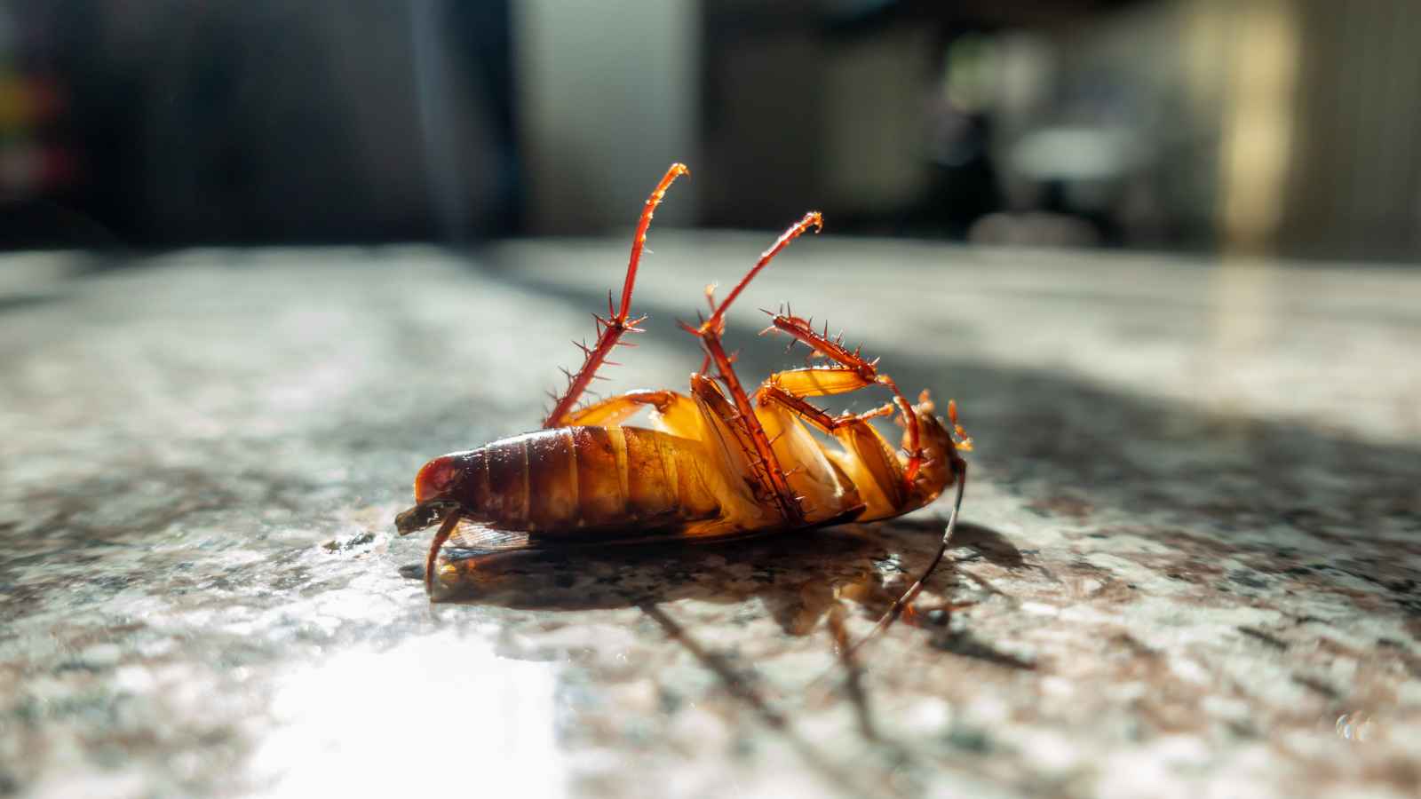 20 Red Flags That Scream 'Run' When Dining At A Restaurant