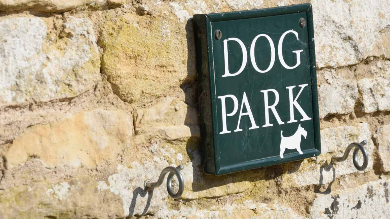Dog park