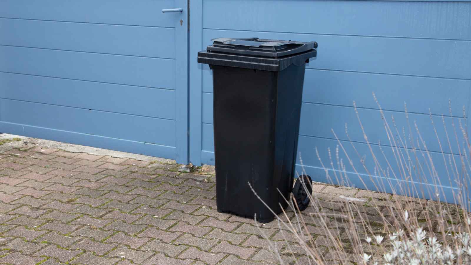 Burglars Spill the Secrets: 20 Ways You're Making Your Home an Easy Target for Robbery