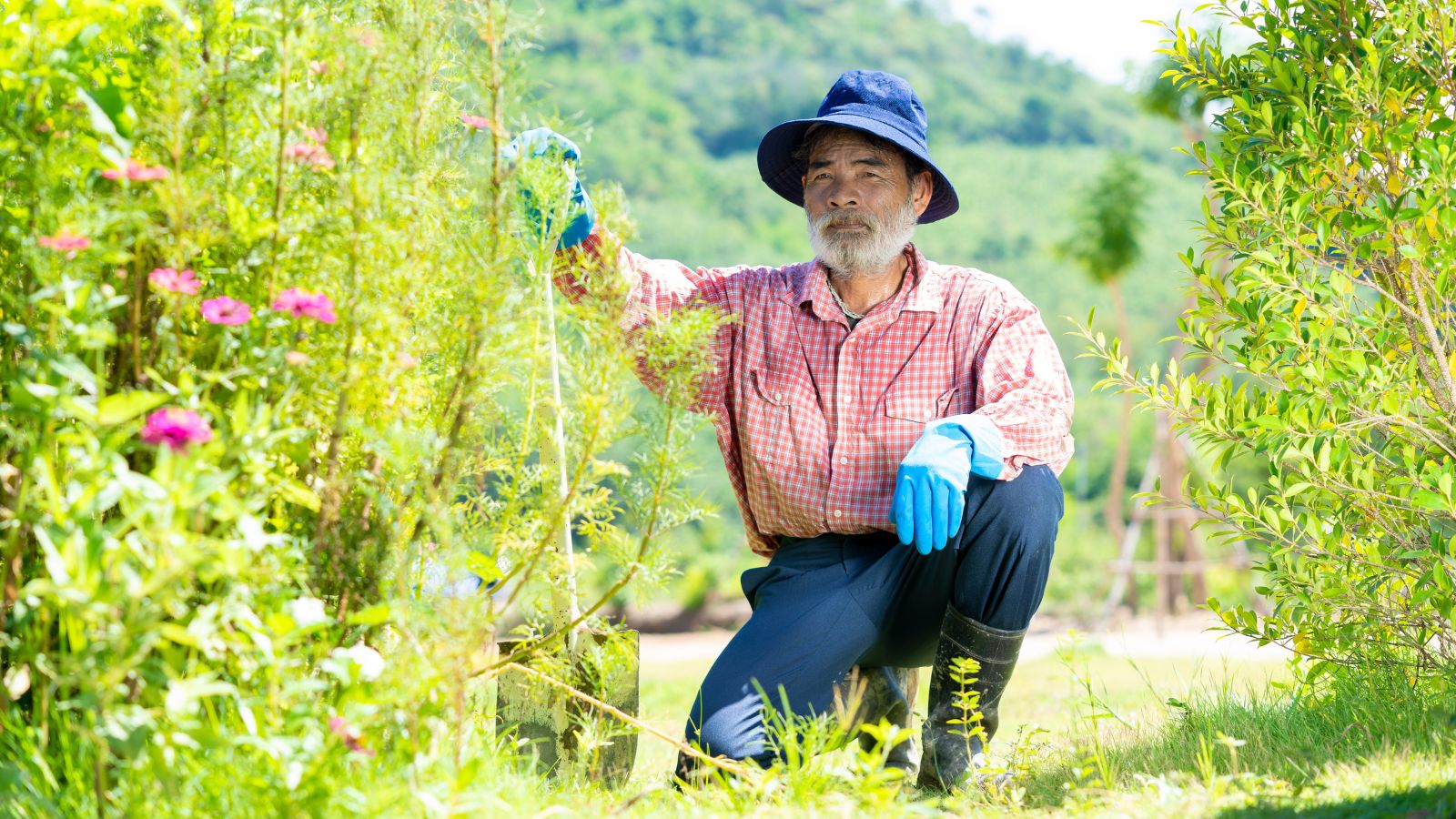Man Gardening