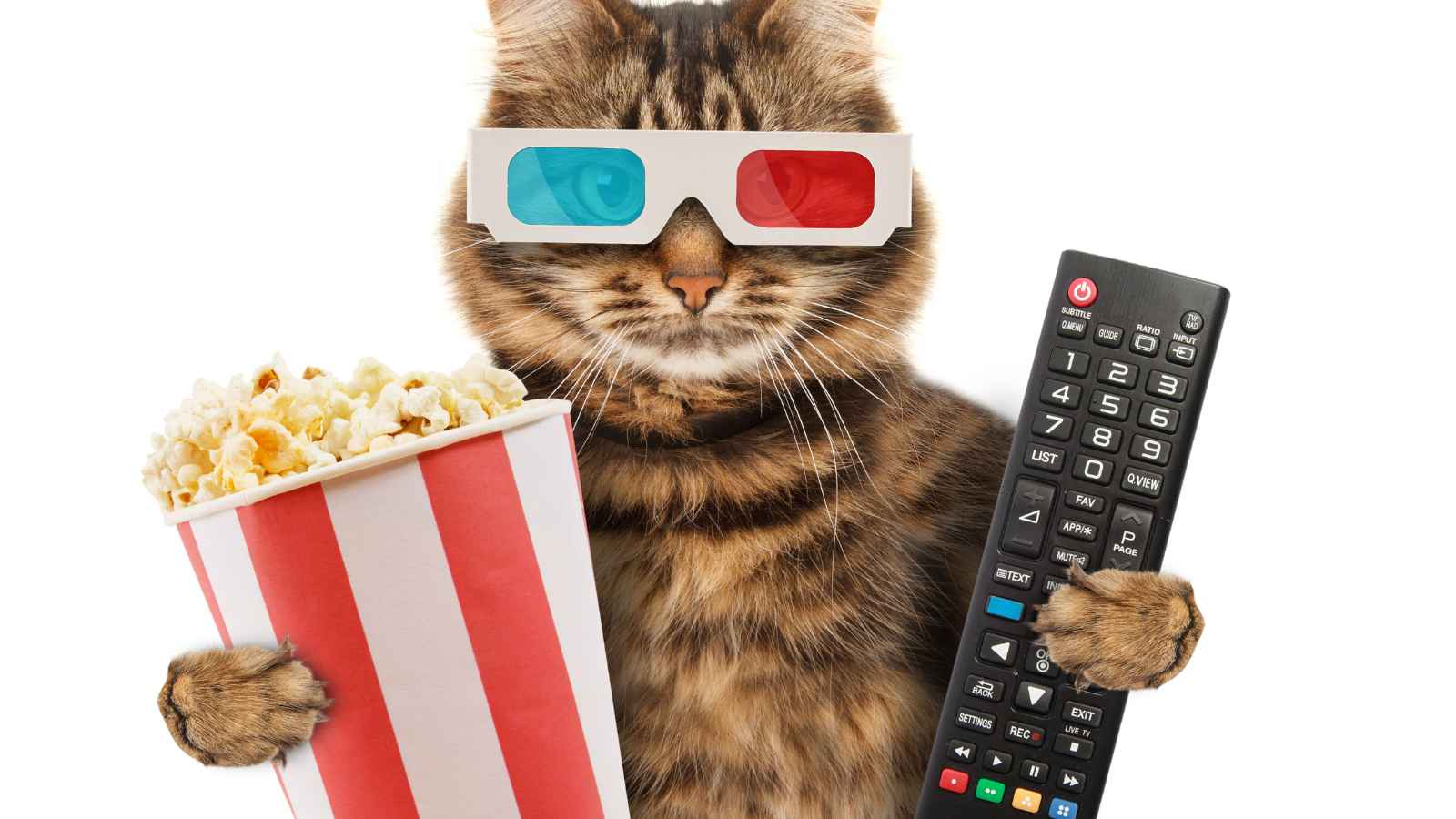 15 Things in Your Home That Won’t Exist in 10 Years