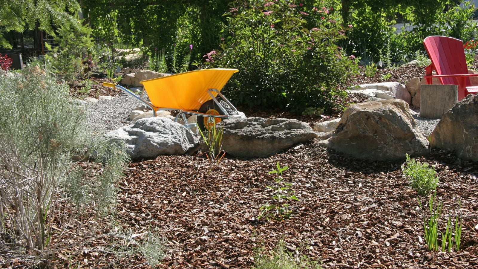 Xeriscaping