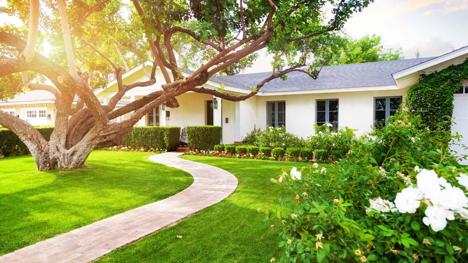 Burglars Spill the Secrets: 20 Ways You're Making Your Home an Easy Target for Robbery