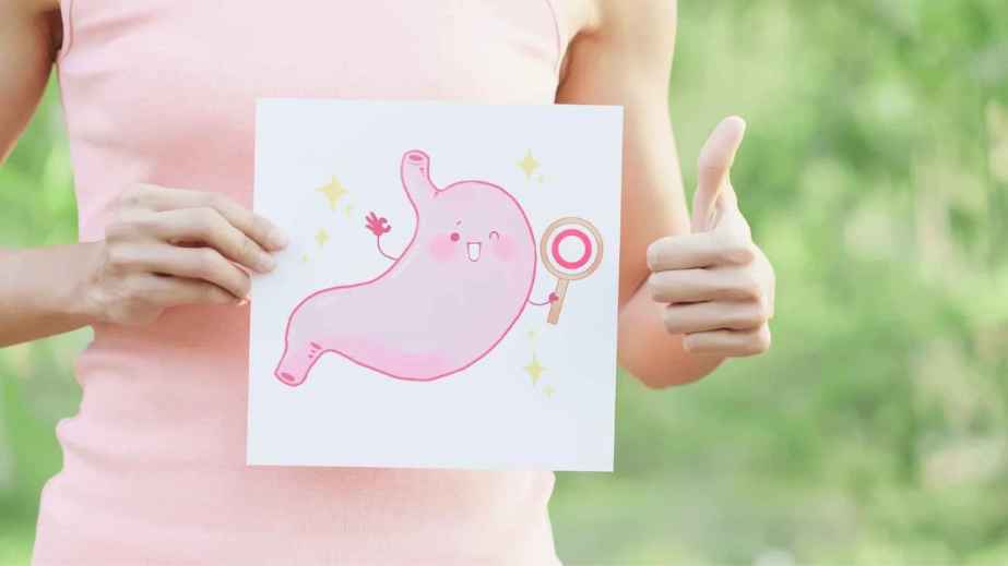 Gut