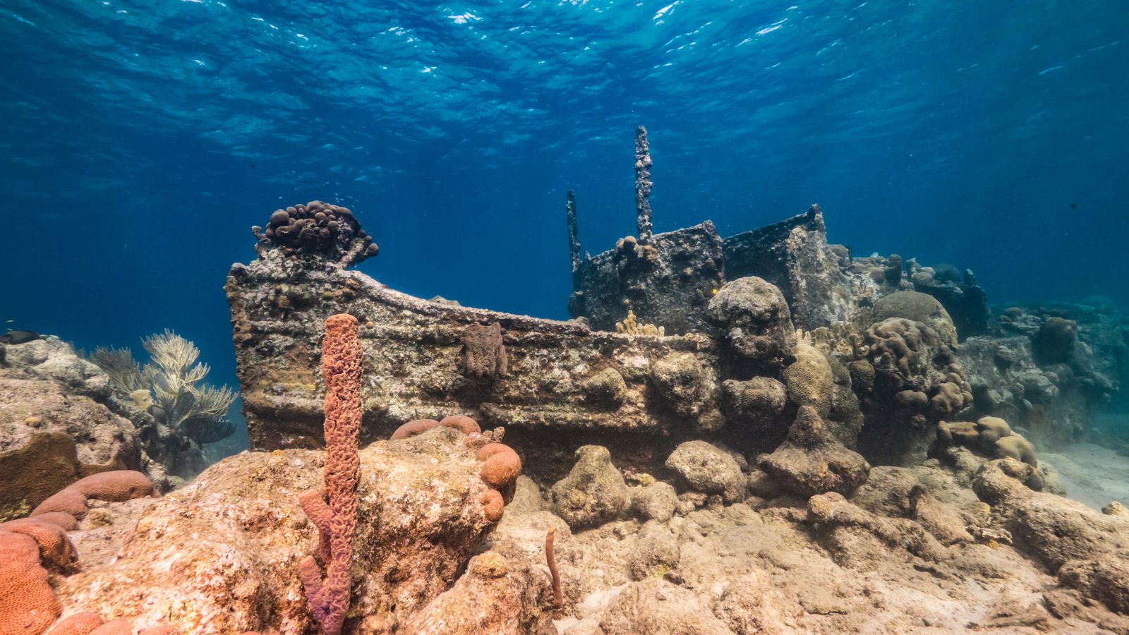 10 Destinations for the Best Snorkeling in the Caribbean