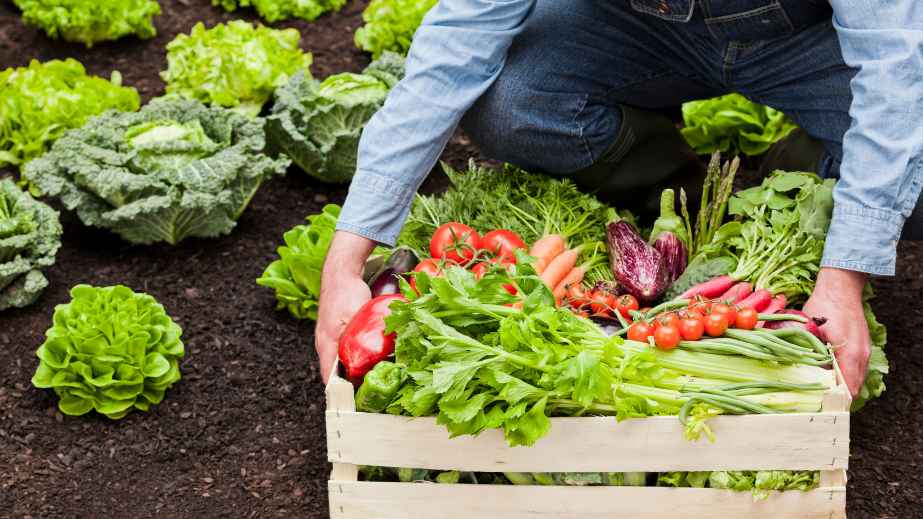 15 Food Trends Nutritionists Wish You Would Forget About