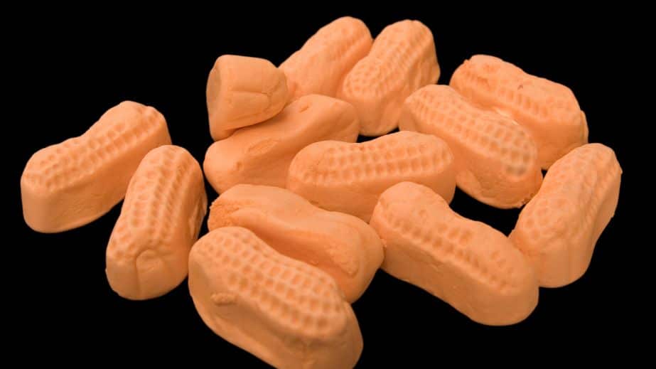 36 The Weirdest and Most Unconventional Delicacies in the U.S
