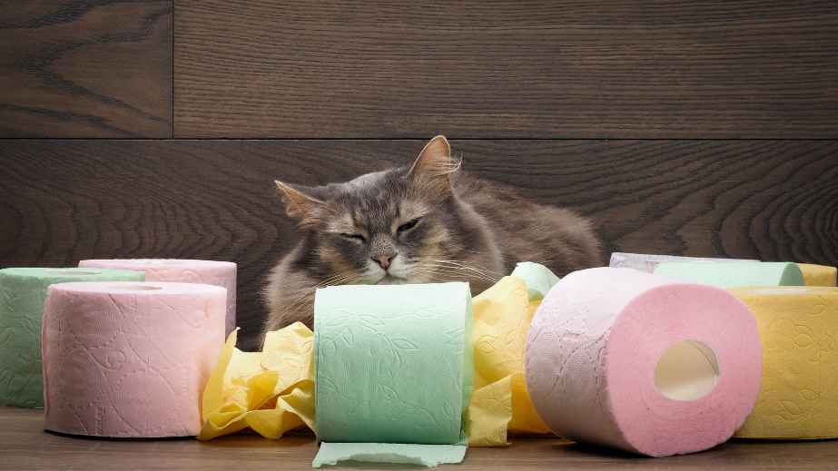27 Forgotten Household Items from the Past