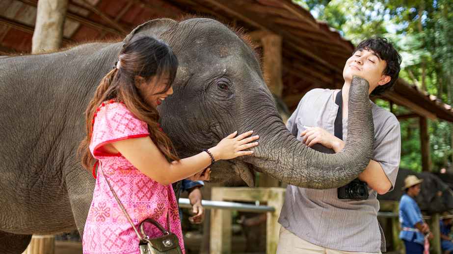 10 Best Places to Visit in Thailand, Ranked