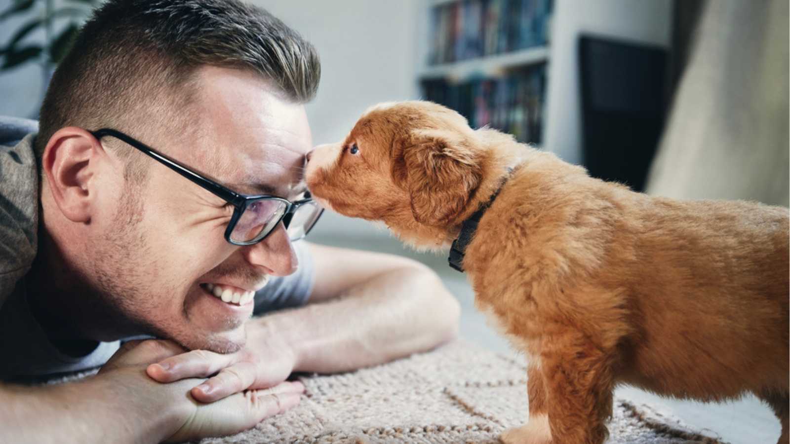 10 Pet Peeves That Owners Say Their Beloved Pets Have, Do Yours?