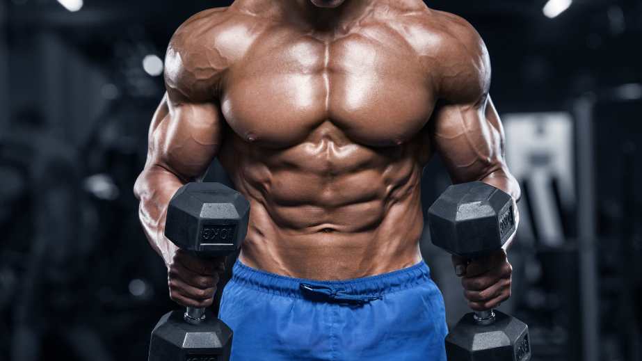 Healthy Habits That Can Help You Achieve a Flat Stomach