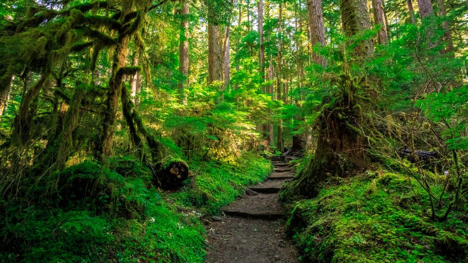 10 The Most Dangerous National Parks in the U.S