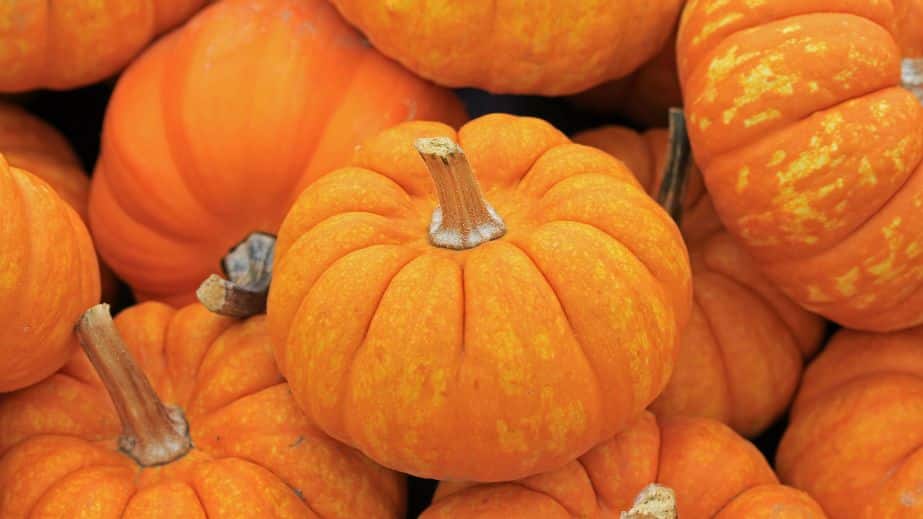 20 Odd American Traditions That Confuse the Rest of the World