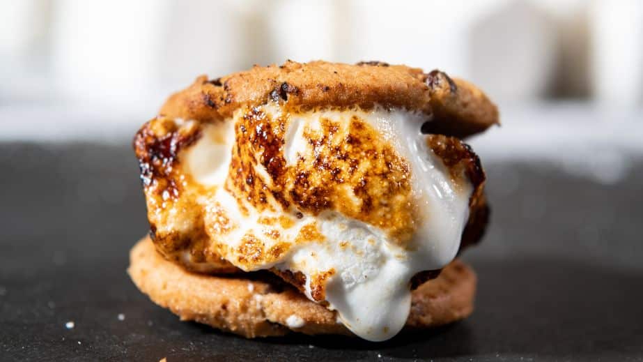 36 The Weirdest and Most Unconventional Delicacies in the U.S