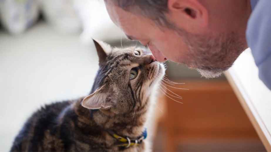 cat and man