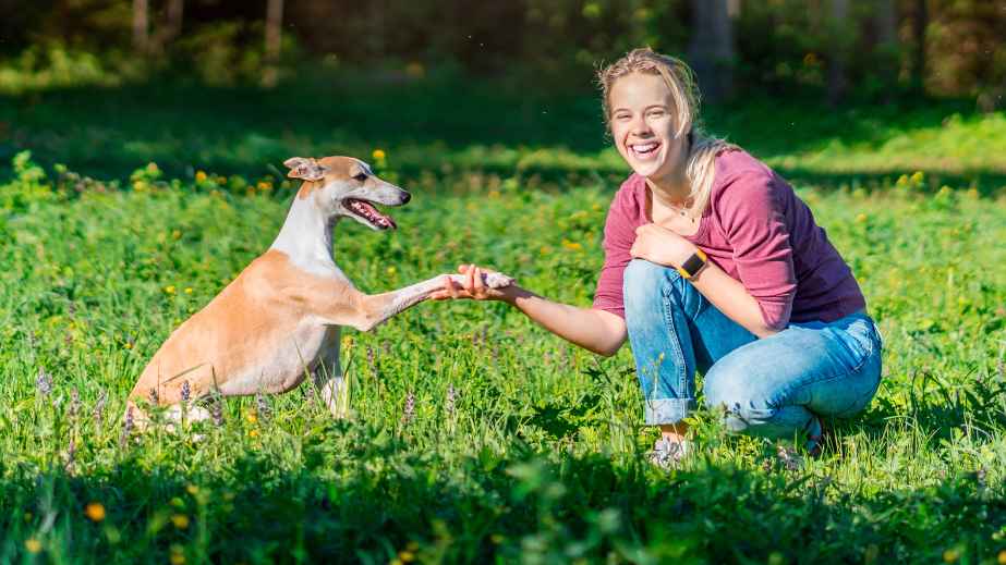 10 Pet Peeves That Owners Say Their Beloved Pets Have, Do Yours?