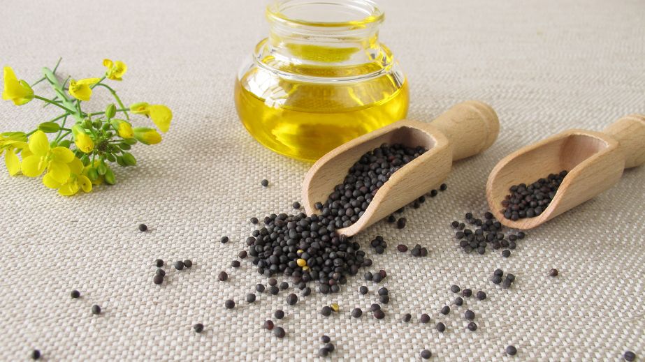 Canola Oil