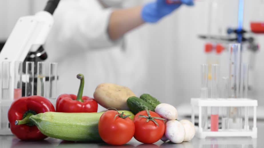 GMO Foods