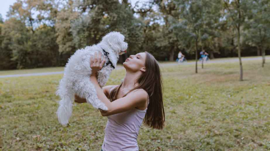 19 Common “Facts” About Dogs That Are Actually False