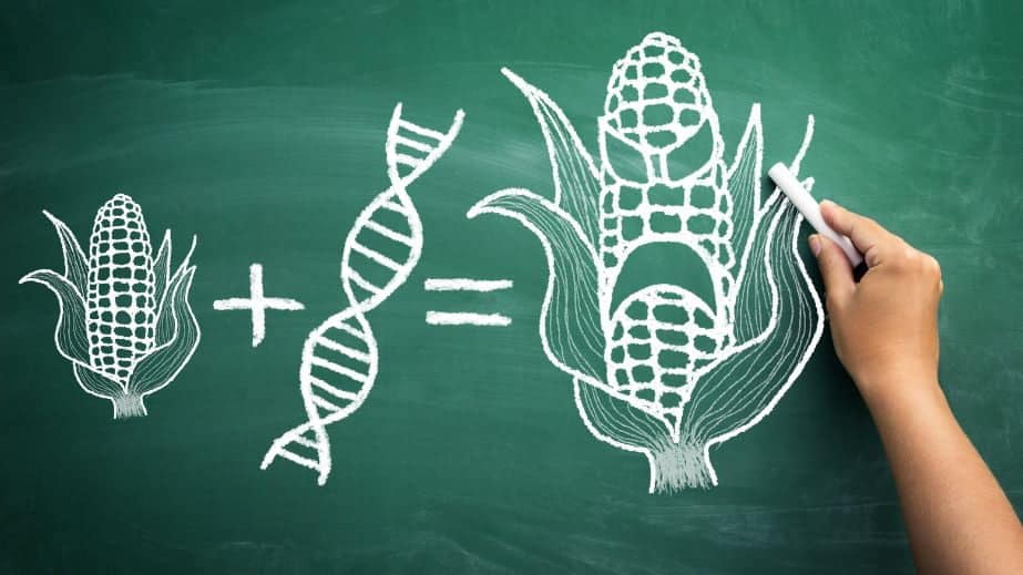 Non-Organic Produce