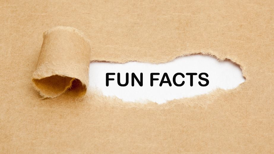 15 Cool Questions You Should Ask Your Kids After School