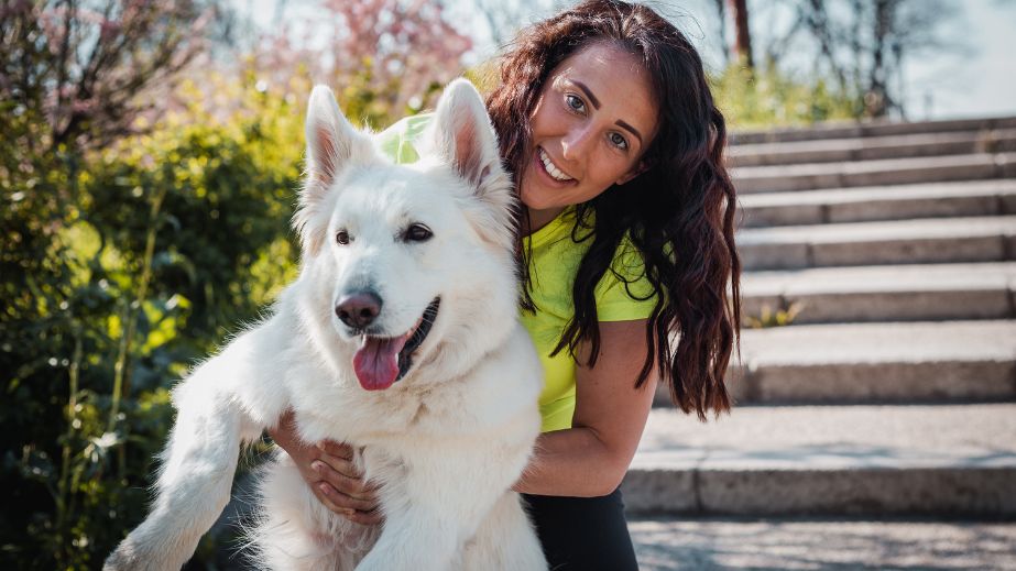 15 Tips for Surviving Road Trips With a Dog