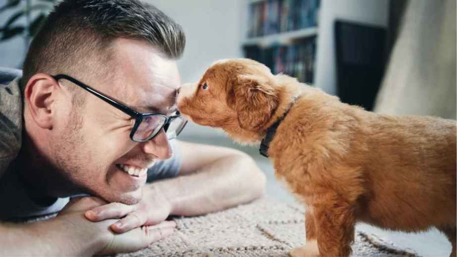 10 Pet Peeves That Owners Say Their Beloved Pets Have, Do Yours?