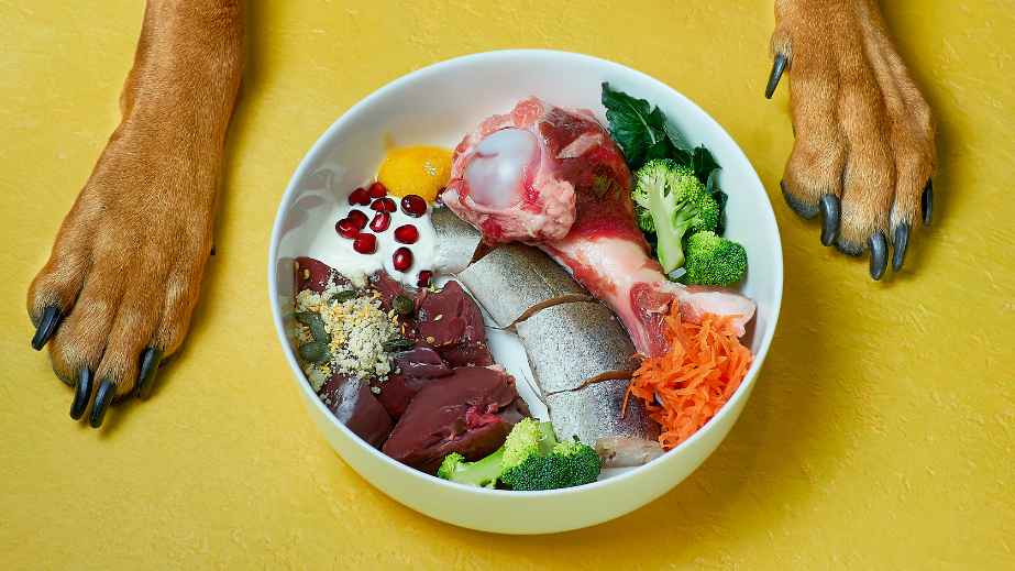 20 Human Foods Dogs Can Eat
