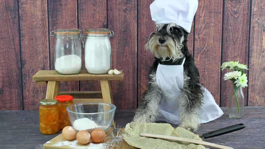 20 Human Foods Dogs Can Eat