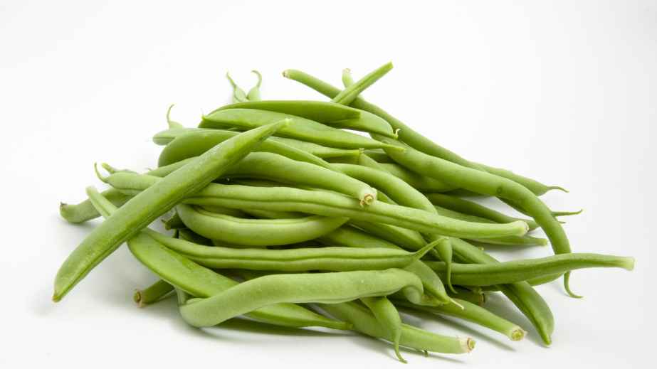 20 Human Foods Dogs Can Eat