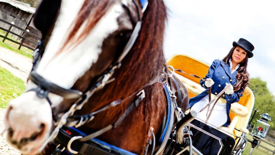 Horse Carriage Drivers