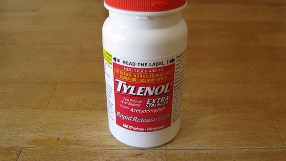 23 Household Items That Can Kill a Dog Instantly